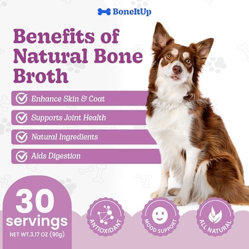 BoneItUp Dog Bone Broth Powder - Made with Real Beef & Chicken, Nutritious & Hydrating Dog Bone Broth Topper for Picky Eaters - Healthy Joints, Coat, Digestion Support (30 Servings) - Image 4