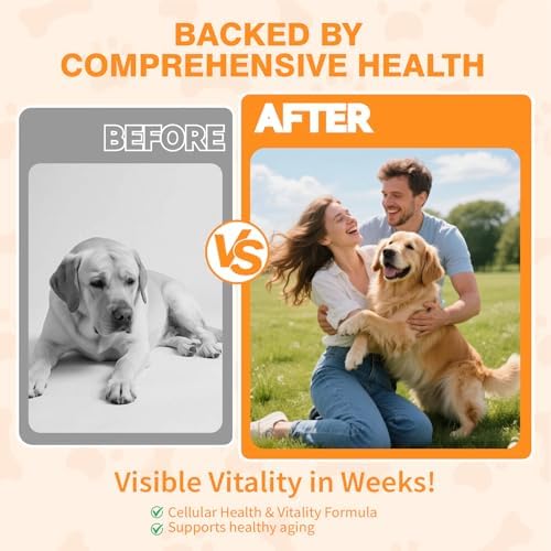 Mature Dog Vitality Drops with NMN,NAD+ & CoQ10-Longevity Supplement,Healthy Aging,Cellular Energy & Antioxidant Support -60ml（2 FL OZ） - Image 4