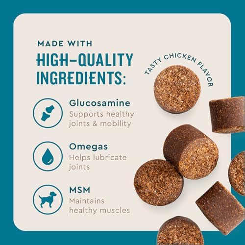 VetIQ Glucosamine Hip & Joint Supplement for Dogs, 60 Soft Chews, Joint Support Supplement with MSM and Krill, Dog Health Supplies Large & Small Breed, Chicken Flavored Chewables - Image 3