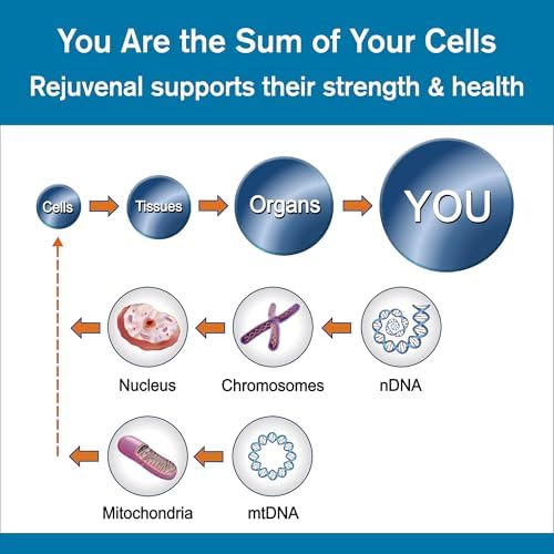 Rejuvenal - Supports Healthy Aging, Longevity, Cellular Energy, Brain, Skin - Image 7