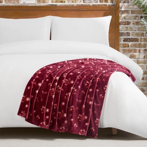 Lucky Brand Daisy Red Floral 50"X70" Cozy Plush Blanket - Premium Microfiber Throw for Luxurious Comfort and Style by LuckyBrand