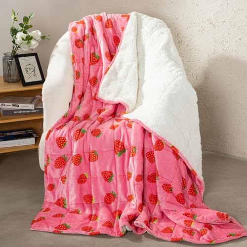 Aemicion Weighted Blanket Queen Size 20 Lbs 60x80 Inches,Ultra Soft Comfortable Fluffy Sherpa Weighted Blankets for Adults,Cute Pink Strawberry Heavy Blanket as Gift for Women,Machine Washable by Aemicion