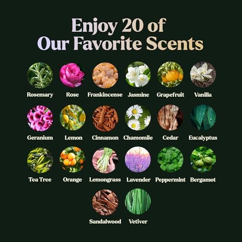 Lagunamoon Essential Oils Set, Top 20 Gift Set Oils for Diffusers, Humidifiers, Aromatherapy, Candle Making Scents, Cars & Home Products, Peppermint, Tea Tree, Lavender, Eucalyptus, Lemongrass (10mL) - Image 3