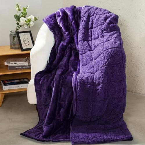 Aemicion Weighted Blanket Queen Size 20lbs,Dual Sided Cozy Fluffy Sherpa Heavy Weighted Blankets for Adults,Ultra Fuzzy Throw Blanket with Soft Plush Flannel Top,60 x 80 inches Purple on Both Sides by Aemicion