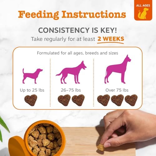 Zesty Paws Mussel Mobility Bites for Dogs - New Zealand Green Lipped Mussel with Natural Glucosamine & Chondroitin + Omega-3 Fatty Acids - Hip & Joint Support Supplement Soft Chews – 90 Count - Image 6