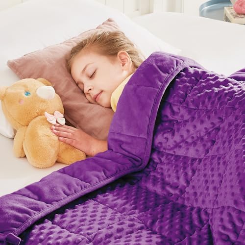 Weighted Blanket - 5 lbs Purple Minky Heavy Blanket - Small Size Breathable Lap Blanket(36"x48", 5 lbs) by HOSUKKO