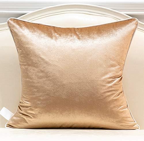 Avigers Throw Pillow Cover 20 x 20 Inch, Beige, Velvet, Hidden Zipper - Image 2