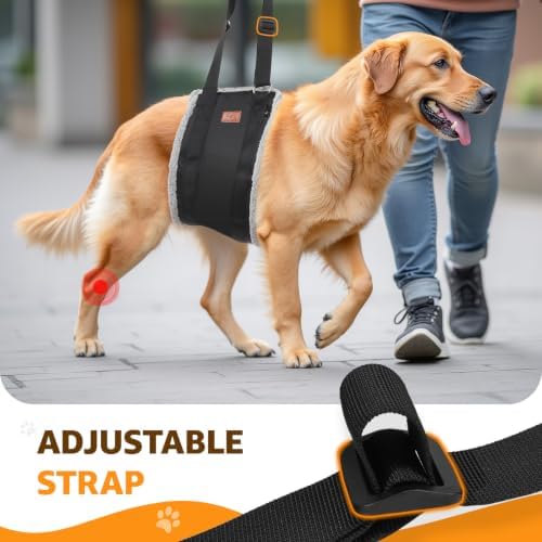 Adjustable Dog Sling for Large Dogs Hind Leg Support Weak Legs Mobility Aid - Image 7
