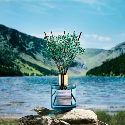 COCORRÍNA Reed Diffuser - Lake Tahoe 6.7 Fl.oz Reed Diffuser Set with 8 Sticks & Preserved Baby's Breath, Reed Diffuser for Home Bathroom Shelf Decor - Image 3