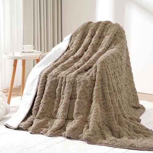 Drewin 20lbs Weighted Blanket Queen Size for Adults,Brownish White,60"x80" by Home