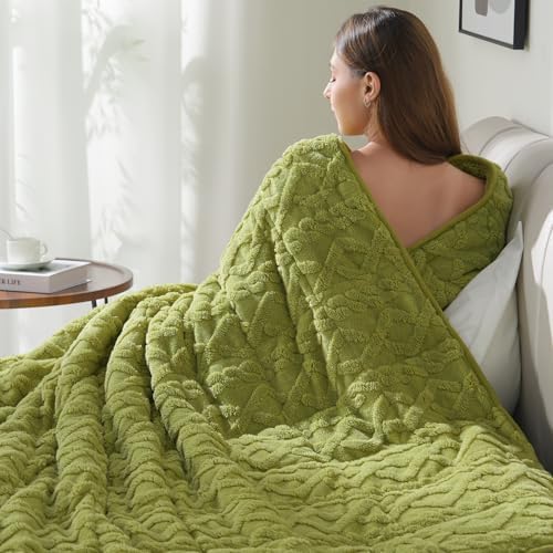 Drewin Weighted Blanket Twin Size for Adults 15lbs,Grass Green,48" x 72" by Home