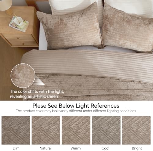BEDELITE Velvet Quilt Set Queen Size, Luxury Velvet Comforter Bedding - Image 3