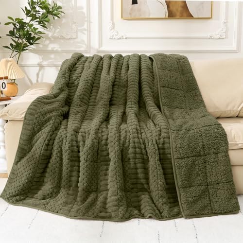 Cottonblue Sherpa Fleece Weighted Blanket 15 lbs for Adults Queen Size Soft by Cottonblue