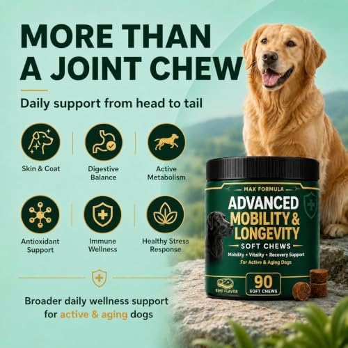 Dog Mobility & Longevity Supplement | Glucosamine | Taurine | L-Carnitine - Image 4