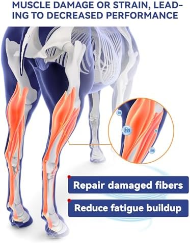 100-Day Supply Equine Body Repair Protein Supplement-Amino Acids Speed up Muscle Recovery After Exercise Promote Healthier Joints - Image 4