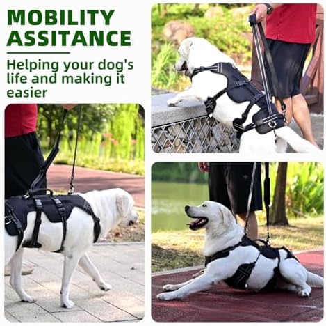 PUPTECK Dog Lift Harness for Medium Large Sized Dog, Rehabilitation Sling for Hind Leg Support, Multifunctional Mobility Assistance Harness for Old, Disabled, Joint Injuries, Paralysis Dogs, Black L - Image 3