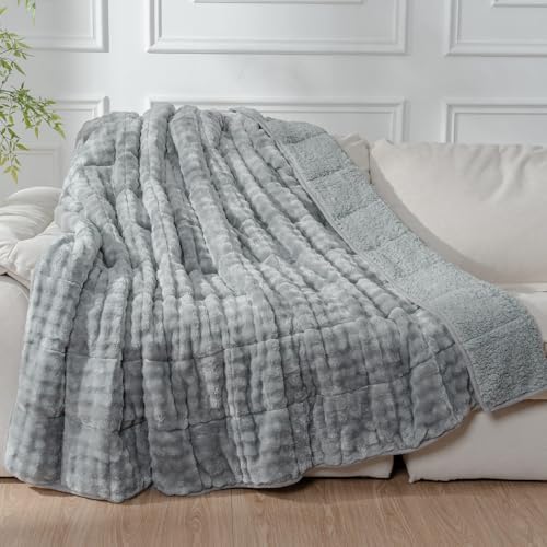 Cottonblue Sherpa Weighted Blanket 15lbs for Adults Queen Size 60"x80" Soft by Cottonblue