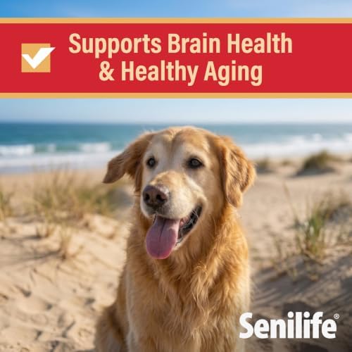 Senilife XL Cognitive Support Capsules for Senior Dogs, Brain Health & Cognitive Function Supplement for Large Breeds, Supports Memory, Learning & Mental Alertness, 30 Capsules - Image 2
