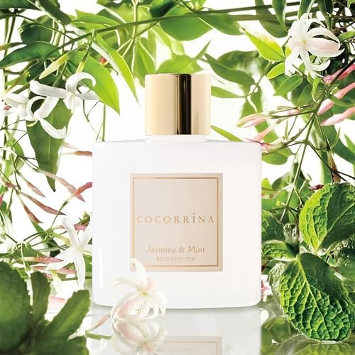 COCORRÍNA Reed Diffuser - Jasmine & Mint 6.7 Fl.oz Reed Diffuser Set with Sticks & Preserved Baby's Breath, Reed Diffuser for Home Bathroom Shelf Decor - Image 3