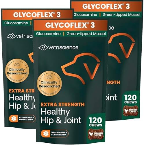 VetriScience Extra Strength Healthy Hip and Joint for Dogs, 3 Pack by VetriScienceLaboratories