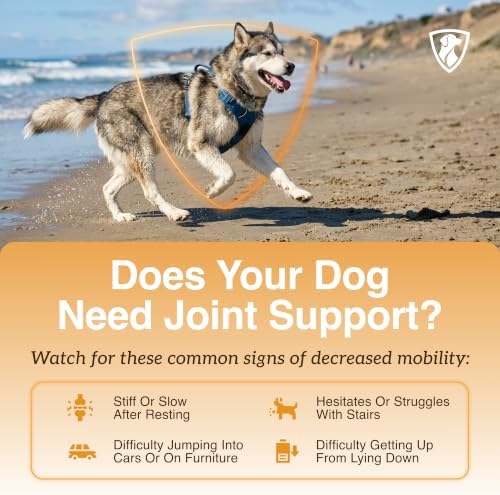 NutraRegen Select Forte Dog Joint Supplement for Senior Dogs – Glucosamine, Chondroitin, MSM, Collagen & Green-Lipped Mussel – Hip & Joint Mobility, Flexibility & Comfort – 45 Scoops - Image 4