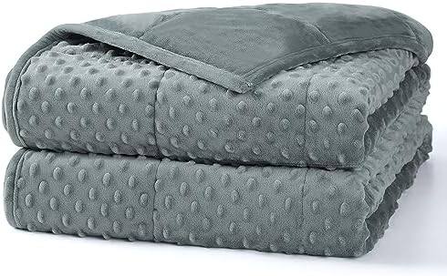 Alomidds Weighted Blanket (60"x80",20lbs Queen Size - Grey), Weighted Blankets for Adults, Breathable Soft and Comfort Minky, Heavy Blanket Microfiber Material with Glass Beads by Alomidds