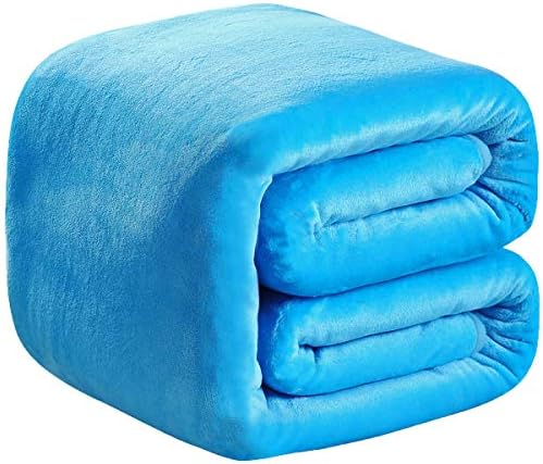Polar Fleece Throw Blankets Travel Size Light Blue for The Bed Extra Soft Brush Fabric Super Warm Sofa Throw Blanket 50" x 61"(Lake Blue Travel) by RICHAVE