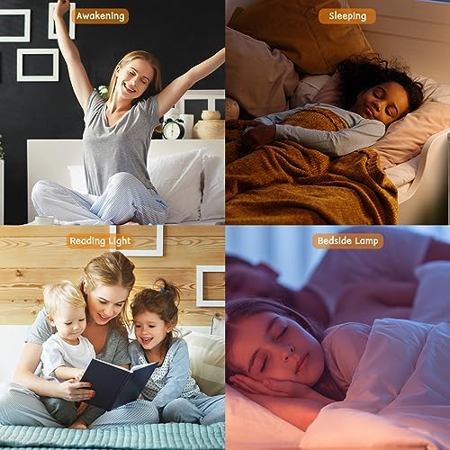 iDealSleep Sunrise Wake Up Light Alarm Clock White Noise Sound Machine - Image 7