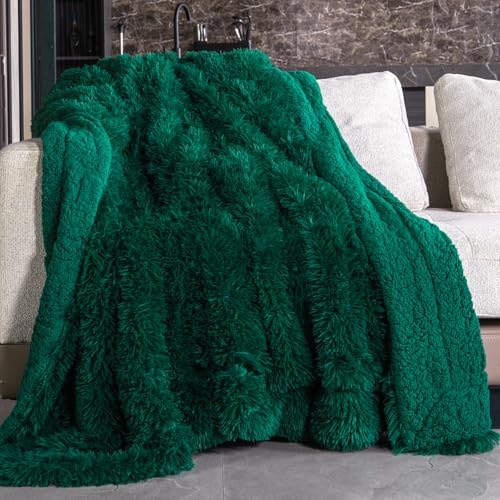 Pawque Faux Fur Sherpa Fleece Throw Blankets 50x60 Inches, Green by Pawque