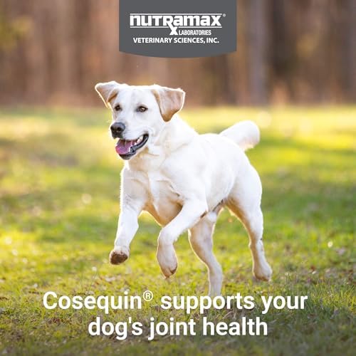 Nutramax Cosequin Dog Joint Supplement, MSM & HA, Chewable Tablets, 75ct - Image 2