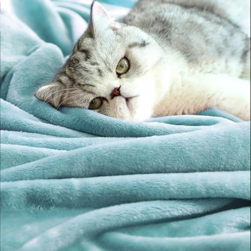 TASTHROW Bluishgreen Throw Blanket 50x60 Inches - Image 6