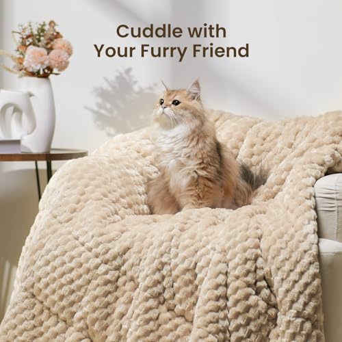 Drewin 20lbs Weighted Blanket Queen Size for Adults,Beige,60 x 80 inches - Image 6