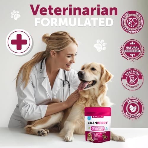 Cranberry Chews for Dogs - Dog Cranberry Supplement for Urinary Health - Image 7