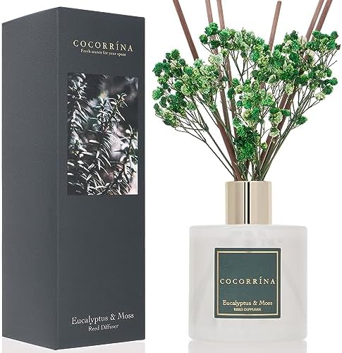 Cocorrína Reed Diffuser Sets- Eucalyptus & Moss Scented Diffuser with Sticks Home Fragrance Reed Diffuser for Bathroom Shelf Decor - Image 2