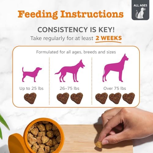 Zesty Paws Vet Strength Mobility Bites Beef & Bacon Flavor Hip & Joint Support Chews for Dogs with Glucosamine, Chondroitin, MSM, Hyaluronic Acid & Serrazimes - 90 Count (Pack of 2) - Image 4