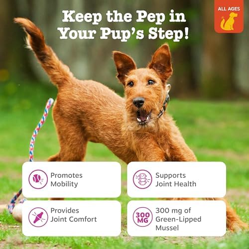 Zesty Paws Mussel Mobility Bites for Dogs - New Zealand Green Lipped Mussel with Natural Glucosamine & Chondroitin + Omega-3 Fatty Acids - Hip & Joint Support Supplement Soft Chews – 90 Count - Image 5
