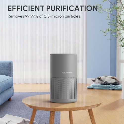FULMINARE Air Purifiers for Bedroom H13 True HEPA Air Filter (Gray) - Image 6