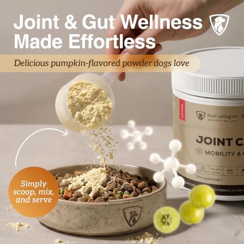 NutraRegen Select Optima Dog Joint Supplement for Senior Dogs – Glucosamine, Chondroitin & MSM + Probiotics & Prebiotics – Mobility, Joint & Digestive Health – 60 Scoops - Image 6