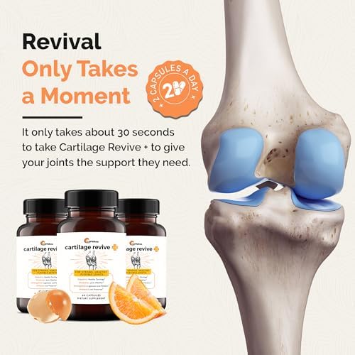 UpWellness Cartilage Revive + Joint Support Supplement for Men and Women with Type II Collagen for Joints - D-Glucosamine Sulfate, MSM, Vitamin D3, Vitamin C and More - 60 Capsules - Image 6