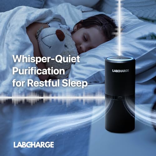 Lab Charge Small Ionic Air Purifier for Home & Bedroom – Silent HEPA Filter – Covers 250 Sq Ft - Free Cleaner for Pets, Hair, Smoke, Dust, Odors & Dander – Compact & Black Design - Pack of 3 - Image 4