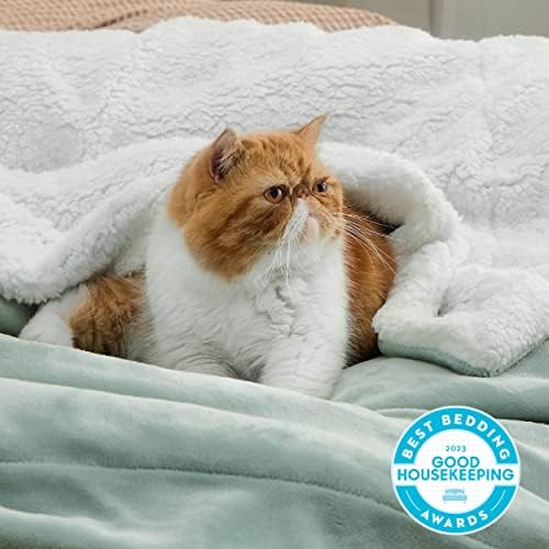 Bedsure GentleSoft Sherpa Fleece Throw Blanket for Couch, Non-Heated, Thick and Warm Throw for Women and Men, Soft Fuzzy Plush Blanket for Spring, Sage Green, 50x60 Inches - Image 2