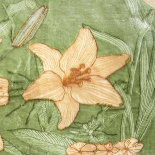 Thick Winter Fleece ​Blanket,King Size Korean Mink Throws Blanket for Bed,Silky Soft and Warm,2 Ply Reversible Raschel Bed Blanket,Green,220x240cm 11LB/5kg. - Image 6