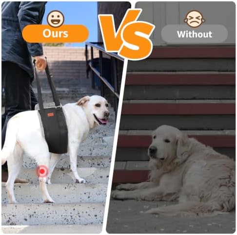 Adjustable Dog Sling for Large Dogs Hind Leg Support Weak Legs Mobility Aid - Image 2