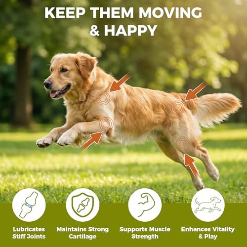 Hip & Joint Chews for Senior Dogs – Advanced Mobility Formula - Image 3