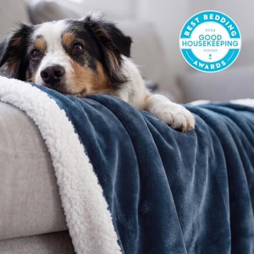 Bedsure GentleSoft Sherpa Fleece Blanket Queen Size for Bed, Non-Heated, Thick and Warm Throw for Women and Men, Soft Fuzzy Plush Queen Blanket for Winter, Slate Blue, 90x90 Inches - Image 2