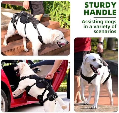 PUPTECK Dog Lift Harness for Medium Large Sized Dog, Rehabilitation Sling for Hind Leg Support, Multifunctional Mobility Assistance Harness for Old, Disabled, Joint Injuries, Paralysis Dogs, Black M - Image 4