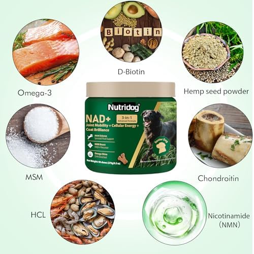 NMN Supplement for Dogs NAD+ Booster - Anti-Aging & Longevity - Image 2
