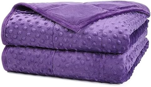 Alomidds Weighted Blanket (60"x80",15lbs Queen Size - Purple), Weighted Blankets for Adults, Breathable Soft and Comfort Minky, Heavy Blanket Microfiber Material with Glass Beads by Alomidds