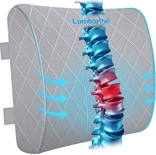 Lumbar Support Pillow for Office Chair, Back Support, Memory Foam by TushGuardSeatCushonsPillows