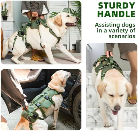 PUPTECK Dog Lift Harness for Medium Large Sized Dog, Rehabilitation Sling for Hind Leg Support, Multifunctional Mobility Assistance Harness for Old, Disabled, Joint Injuries, Paralysis Dogs, Green L - Image 4